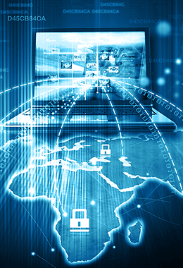 Biểu đồ hiệu suất giao dịch IPS Fintech